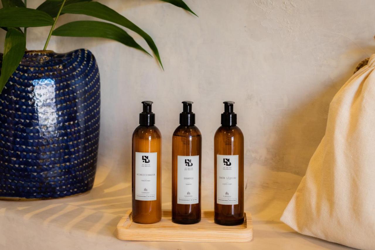 La Valise San Miguel De Allende, Member Of Small Luxury Hotels Exterior foto